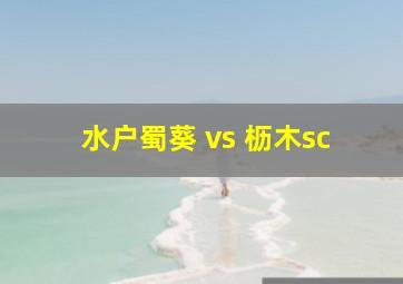 水户蜀葵 vs 枥木sc